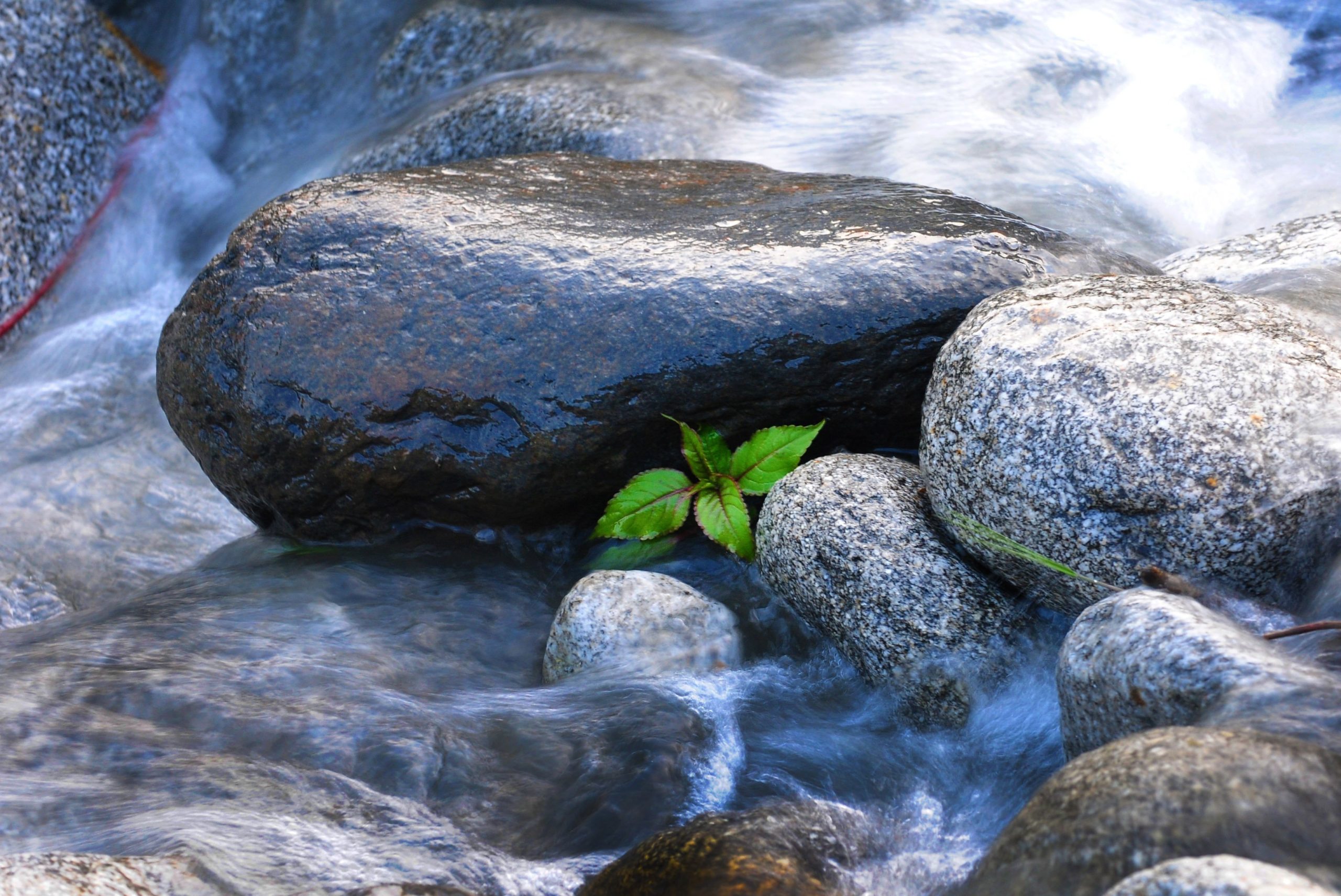 Banshy - Eau roulant sur des galets